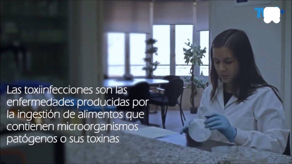 Importancia de cómo influye la higiene en la productividad empresarial