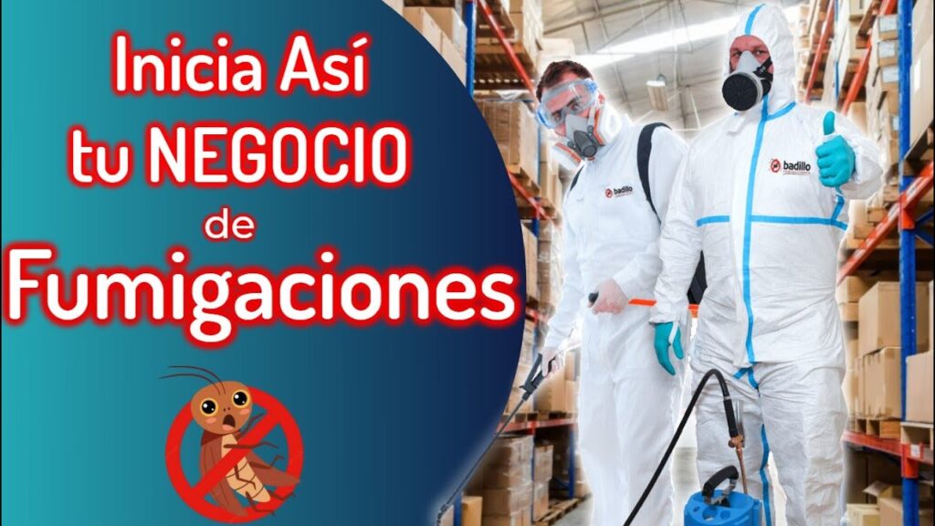 Recomendaciones para cómo preparar una empresa para fumigación