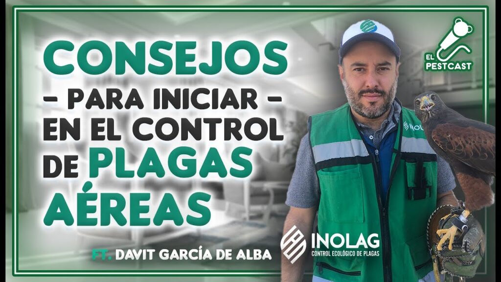 Recomendaciones para control de aves urbanas en techos industriales
