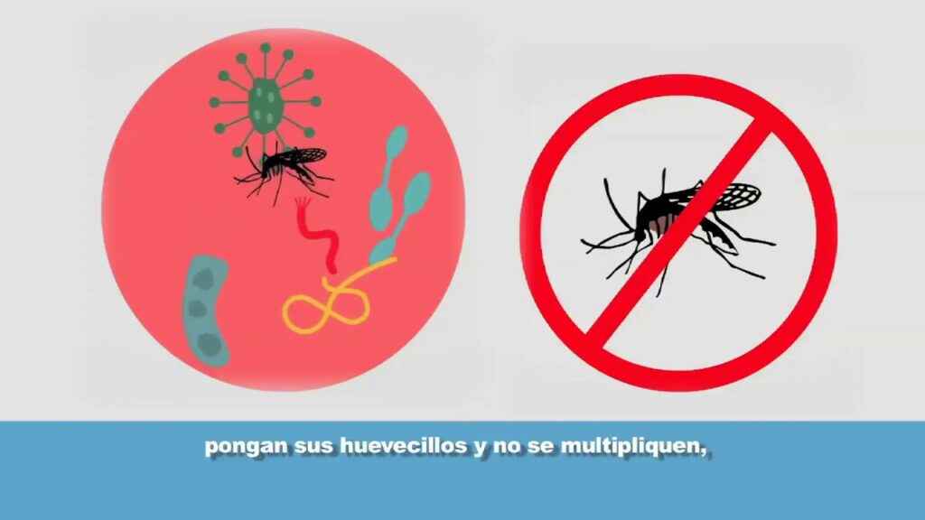 Recomendaciones para prevención de dengue en zonas urbanas