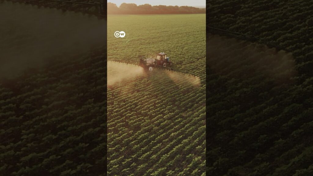 Importancia de cuándo fumigar una planta industrial